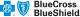 Blue Cross Blue Shield health insurance logo with matching words